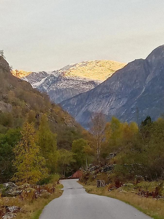 Villa An Authentic Experience In Picturesque Eidfjord Exterior foto